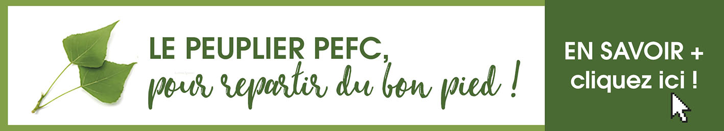 Le peuplier PEFC pour repartir du bon pied