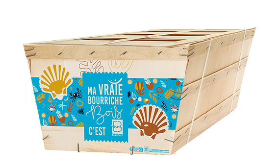 MBBB-PanierCoquilles-3D